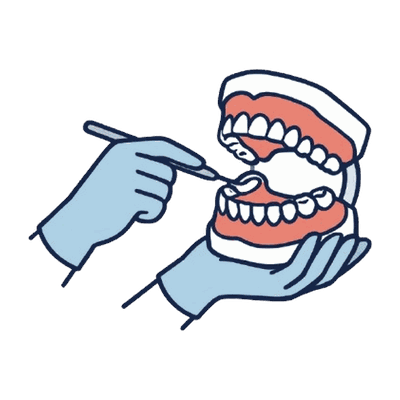 歯型模型を器具で確認する手元のイラスト素材