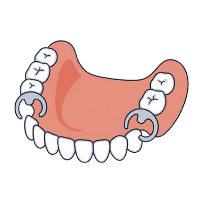 部分入れ歯（義歯）のイラスト素材